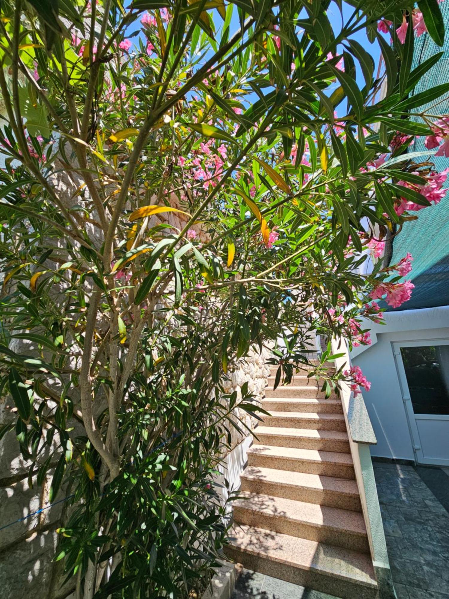Apartments Bahar Krk Krk Town Zewnętrze zdjęcie
